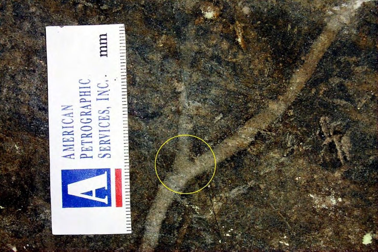 Figure 8 from report