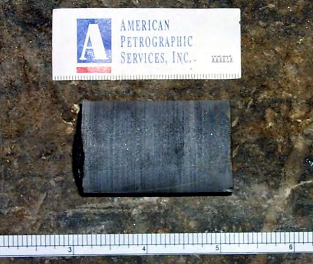 Figure 10 from report