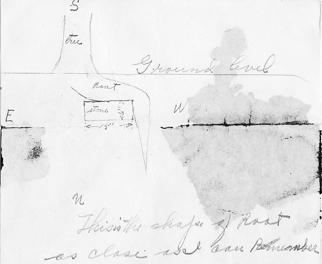 Figure 20 from report