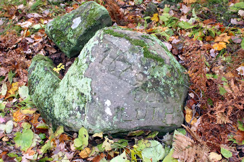 Figure 2 from report