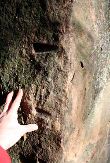 Figure 10 from report